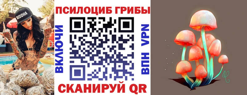 ОМГ ОМГ как зайти  Озёры  darknet телеграм  Галлюциногенные грибы Psilocybe 